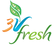 3V Company, Inc.
